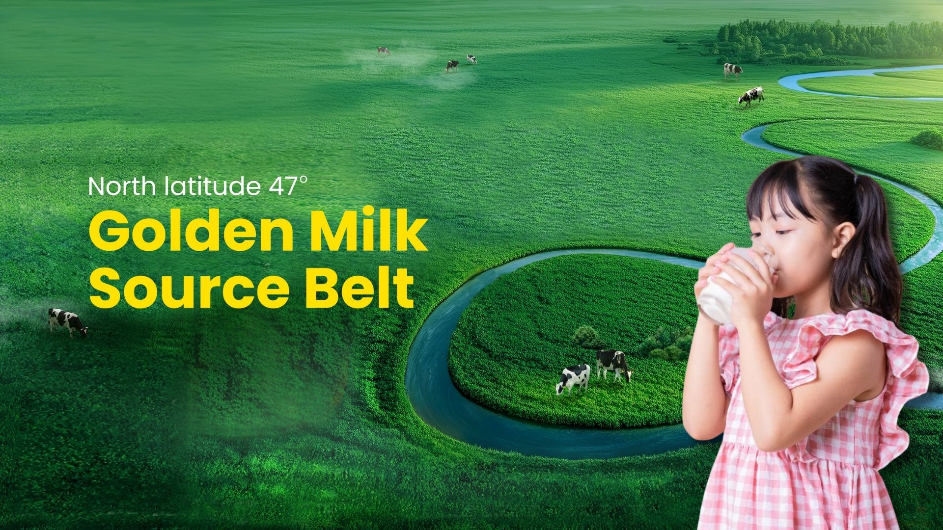 World-famous pure fresh milk formula AceKid is now in the Philippines