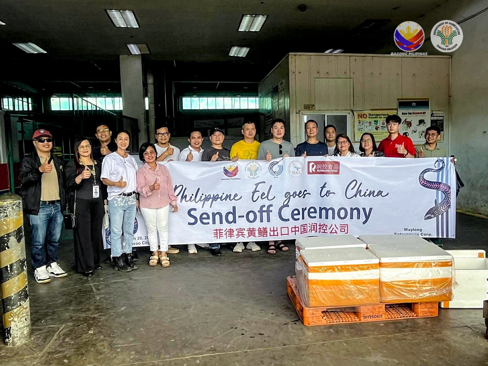 Region XI exports eel to China 