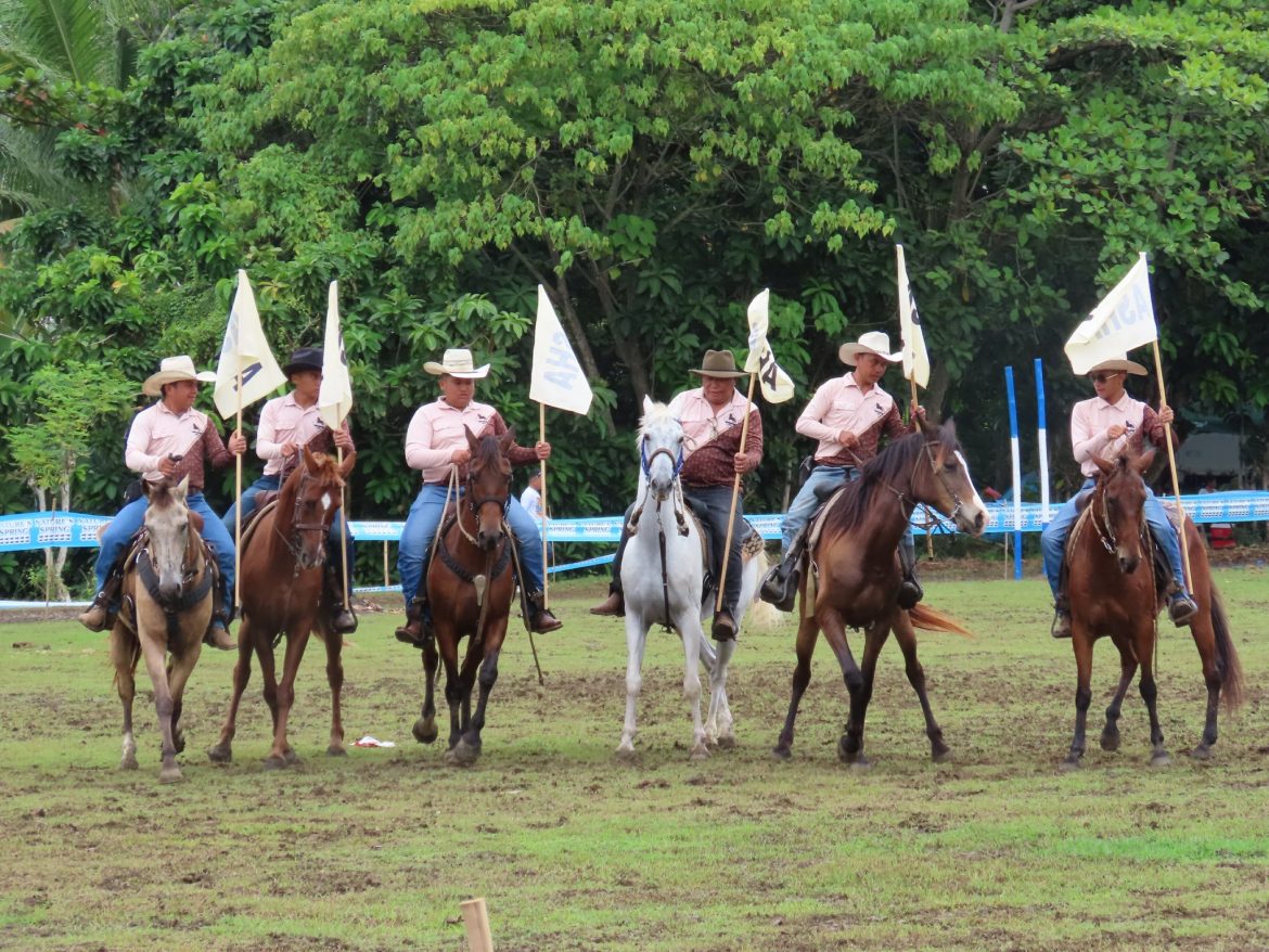 0giopic (Davao Horse Show and Competition) (2)