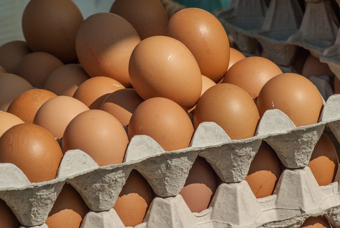 Cage-Free Eggs